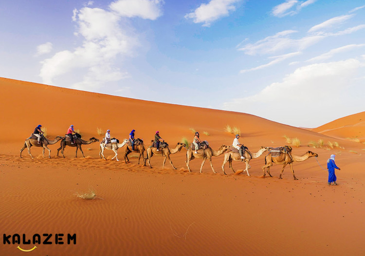 حقایق جالب صحرای بزرگ افریقا