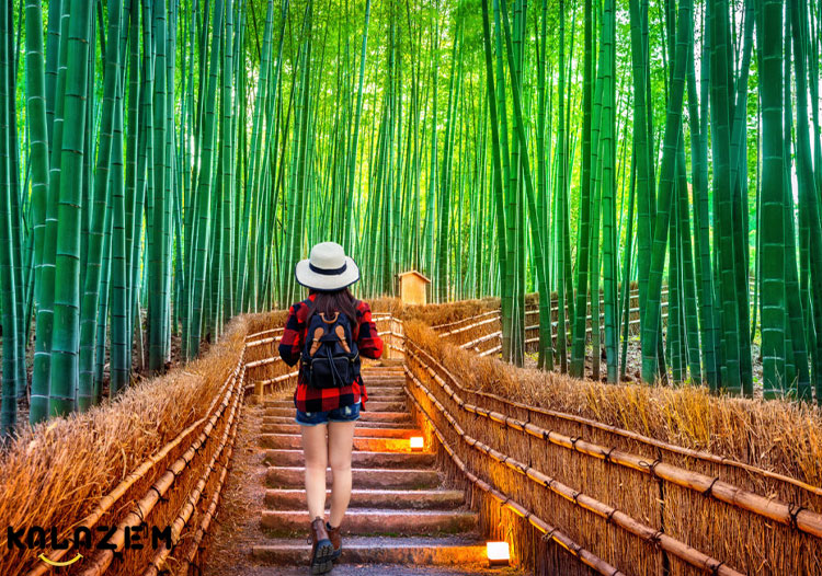 ششمین مکان باورنکردنی جنگل بامبو ساگانو یکی از شگفت‌انگیزترین عجایب طبیعی ژاپن است