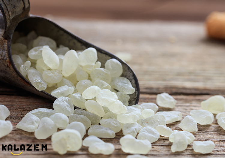 صمغ ماستیک برای ورم معده